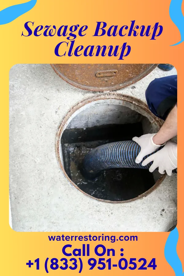Sewage Backup Cleanup in Worthington Hills, KY